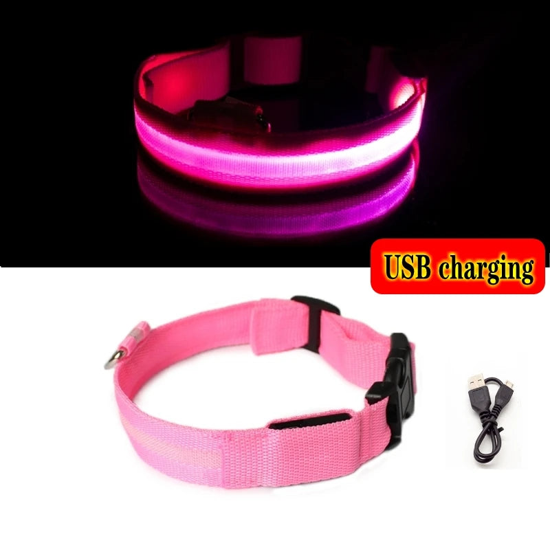 Collier en nylon lumineux à LED pour chien
