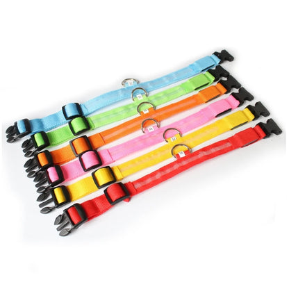 Collier en nylon lumineux à LED pour chien