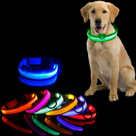 Collier en nylon lumineux à LED pour chien