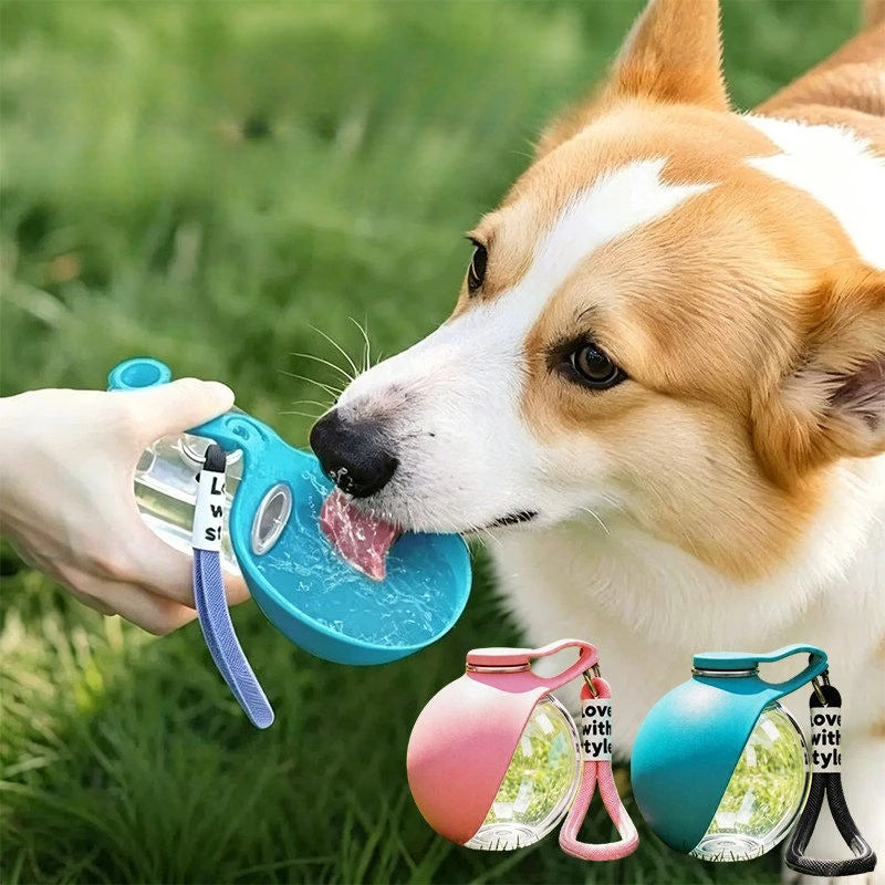 Gourde pliable pour chien