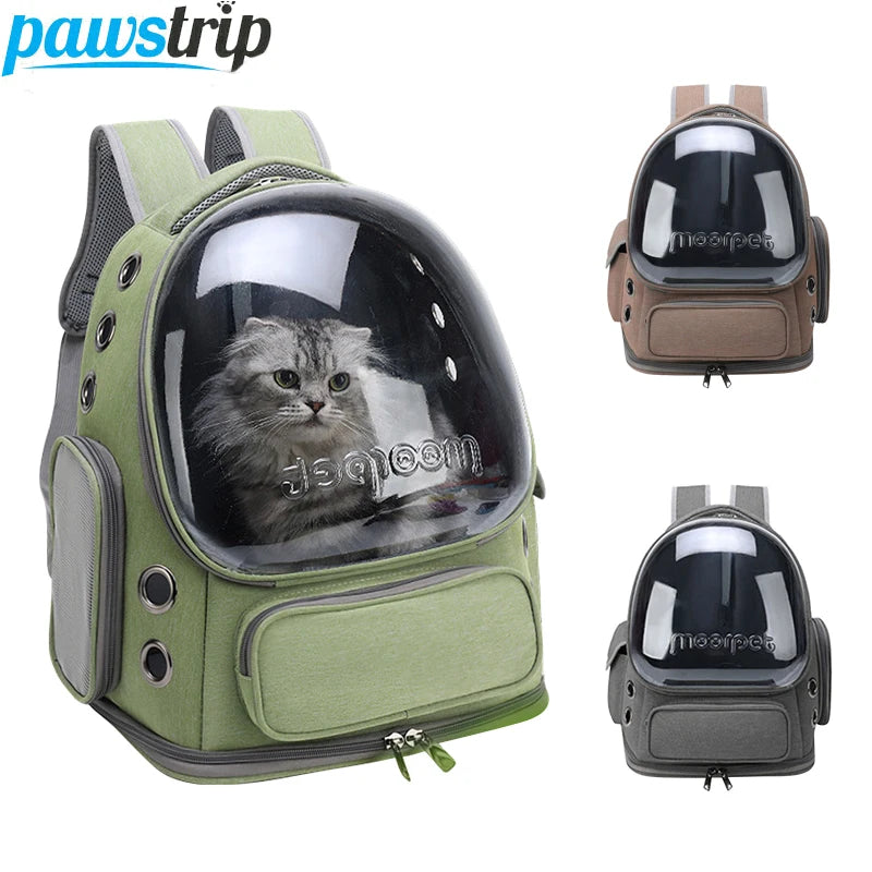 Sac à dos de transport transparent pour animal