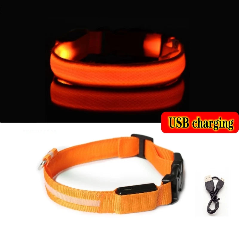 Collier en nylon lumineux à LED pour chien