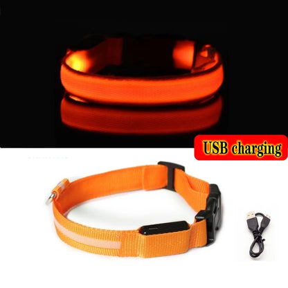 Collier en nylon lumineux à LED pour chien