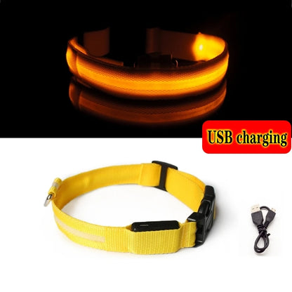 Collier en nylon lumineux à LED pour chien
