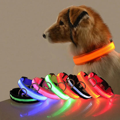 Collier en nylon lumineux à LED pour chien