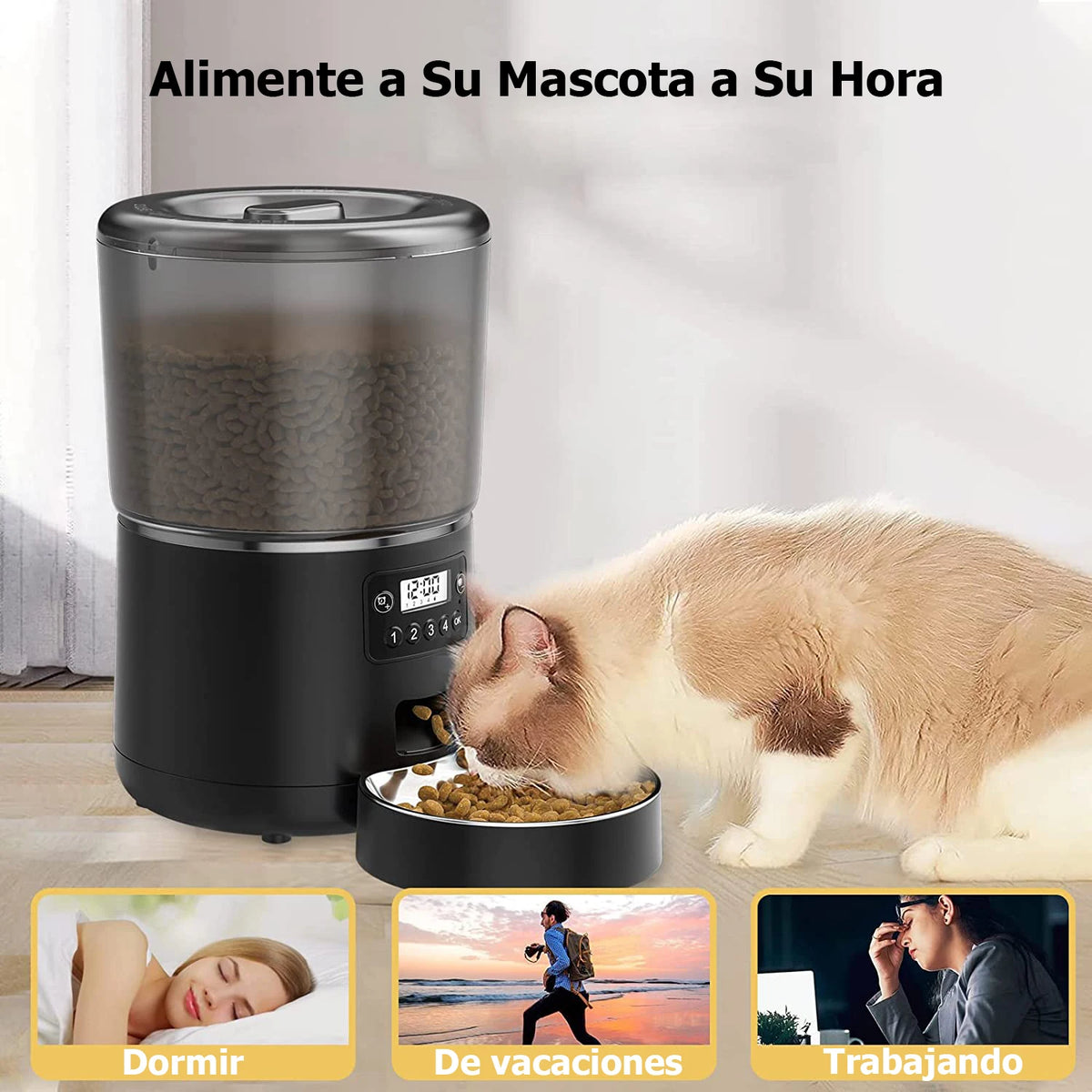 Distributeur automatique de nourriture pour chat de 4 L