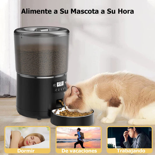 Distributeur automatique de nourriture pour chat de 4 L