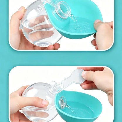 Gourde pliable pour chien
