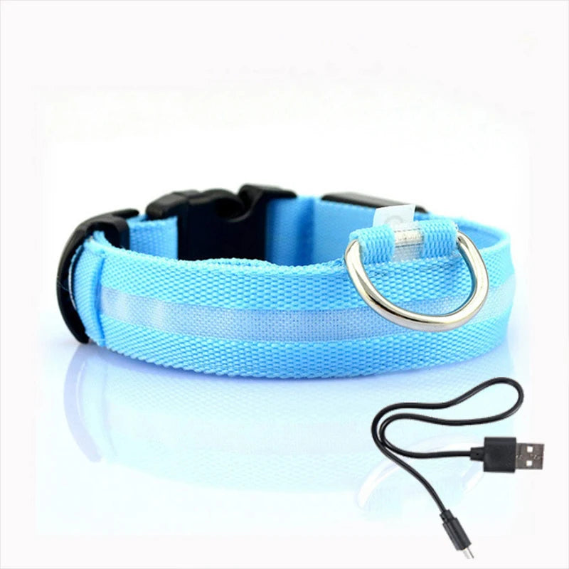 Collier en nylon lumineux à LED pour chien