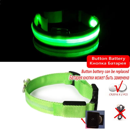 Collier en nylon lumineux à LED pour chien