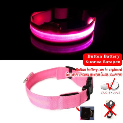 Collier en nylon lumineux à LED pour chien