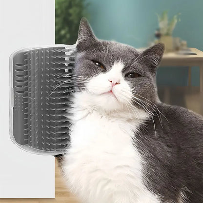Griffoir et brosse de massage pour chat