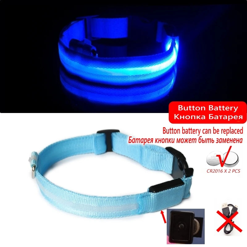 Collier en nylon lumineux à LED pour chien