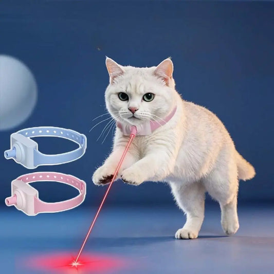 Collier lumineux interactif pour chat