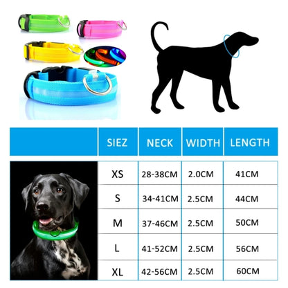 Collier en nylon lumineux à LED pour chien
