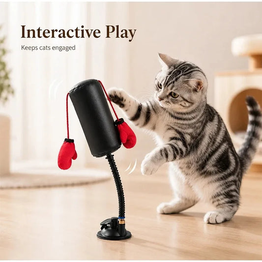 Jouet de boxe interactif pour chat