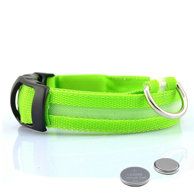 Collier en nylon lumineux à LED pour chien