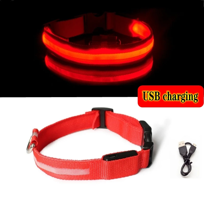 Collier en nylon lumineux à LED pour chien