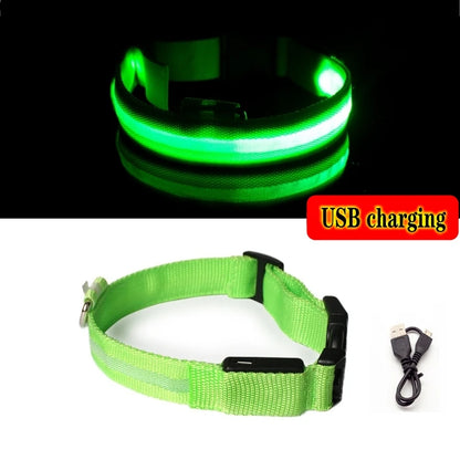 Collier en nylon lumineux à LED pour chien