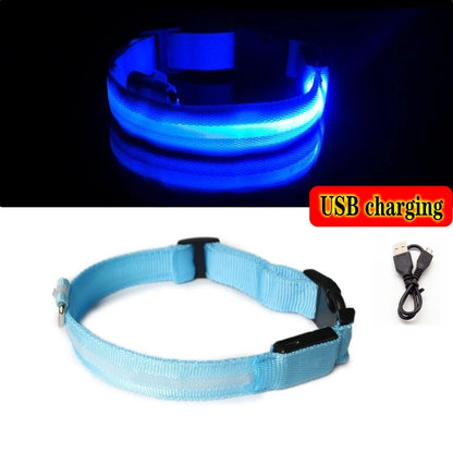 Collier en nylon lumineux à LED pour chien