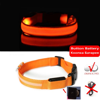 Collier en nylon lumineux à LED pour chien