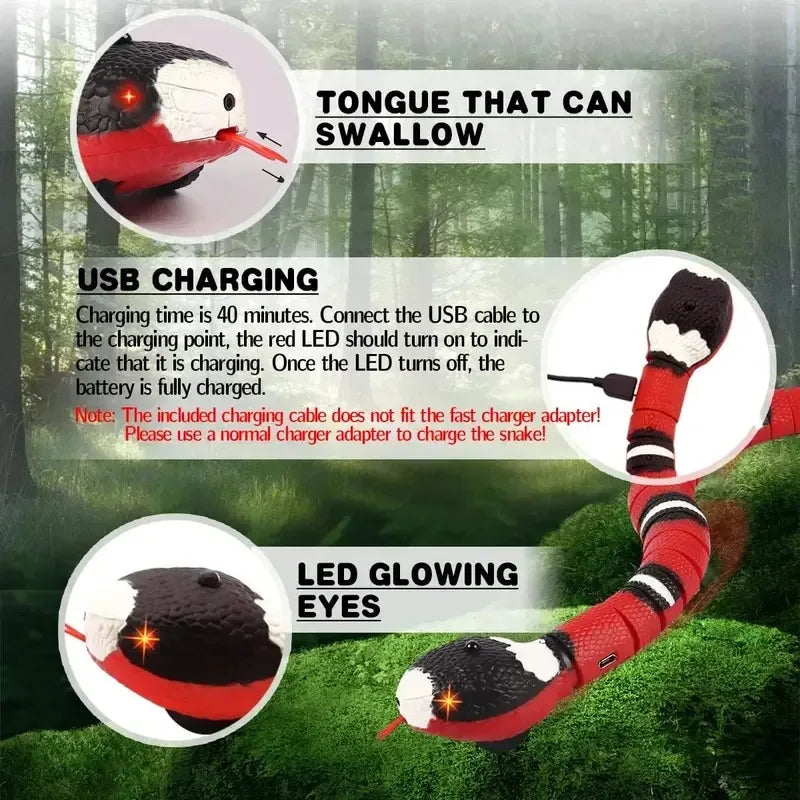 Jouet serpent interactif pour chat