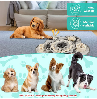 Tapis de fouille interactif pour chien