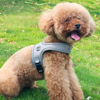 Reflective Nylon Dog Harness