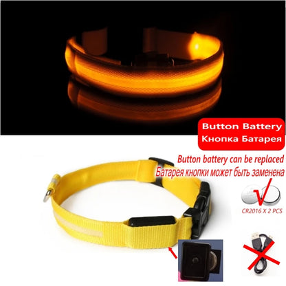 Collier en nylon lumineux à LED pour chien