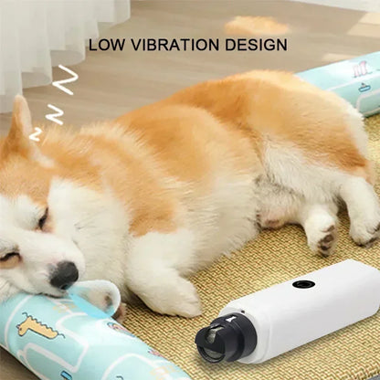 Lime à griffes rechargeable pour animaux