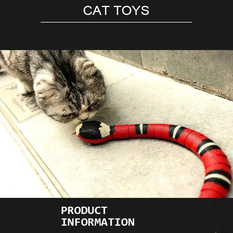 Jouet serpent interactif pour chat