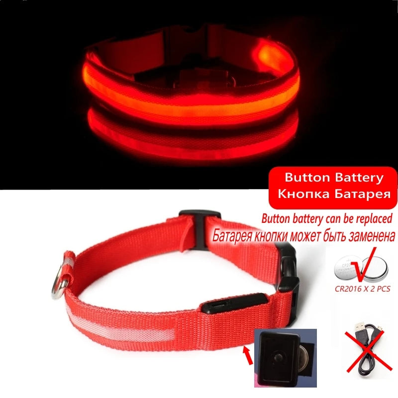 Collier en nylon lumineux à LED pour chien