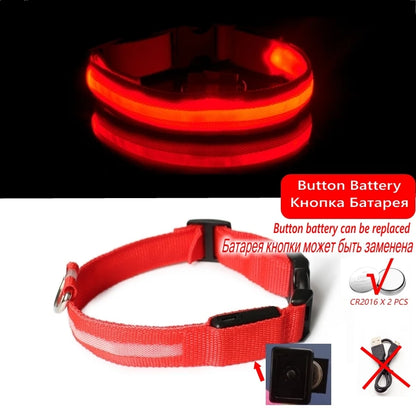 Collier en nylon lumineux à LED pour chien